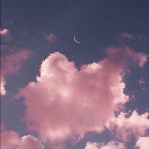 INSTA: @venessamoreira